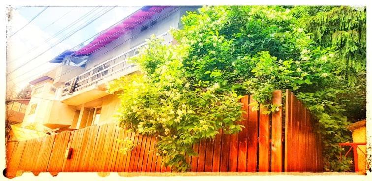 La Pensionaru' เปรดัล ภายนอก รูปภาพ